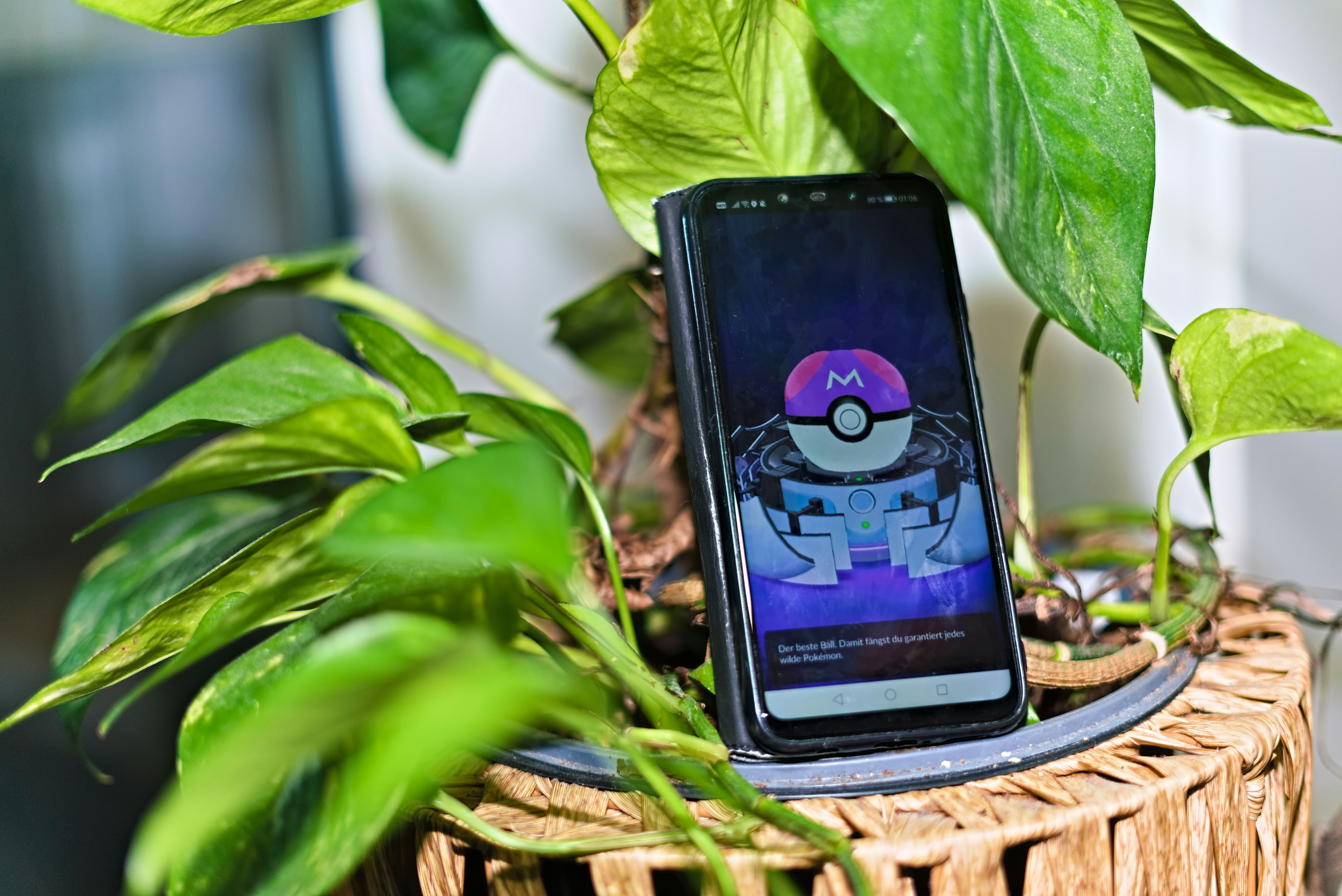 Smartphone displaying pokémon game screen amidst green leaves.